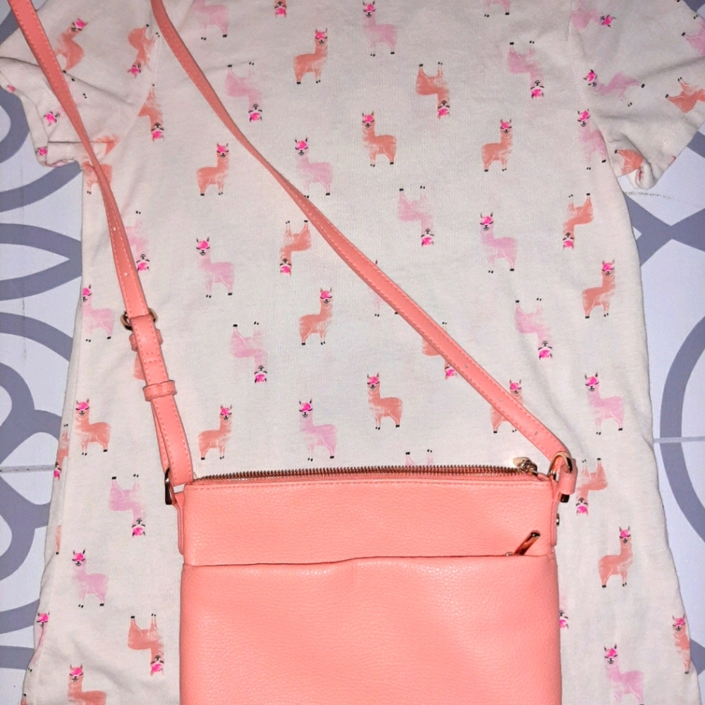 Zoe & Liv tshirt and A new day handbag